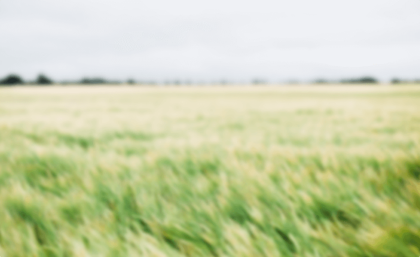 thumbnail photo